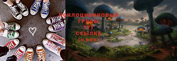 соль ск Алексин