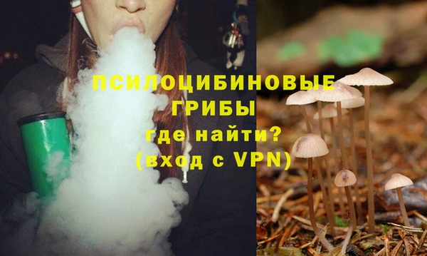 соль ск Алексин