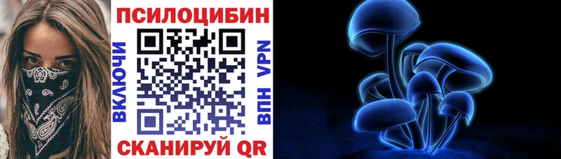 Галлюциногенные грибы Psilocybe  магазин продажи   Октябрьский 